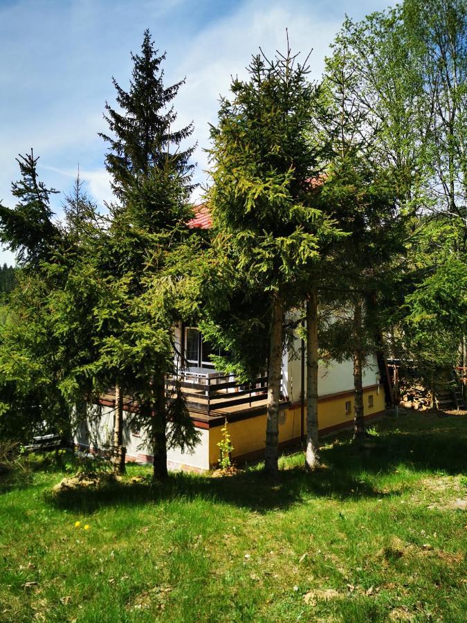 Wojtowka 16 Villa Ladek-Zdroj Luaran gambar
