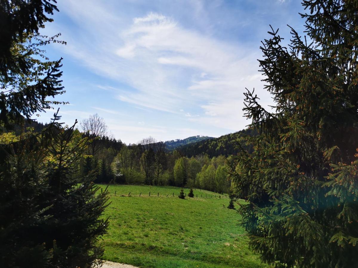 Wojtowka 16 Villa Ladek-Zdroj Luaran gambar