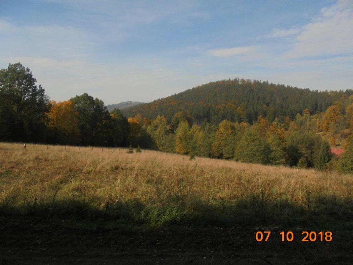 Wojtowka 16 Villa Ladek-Zdroj Luaran gambar