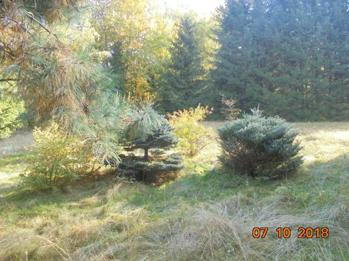 Wojtowka 16 Villa Ladek-Zdroj Luaran gambar