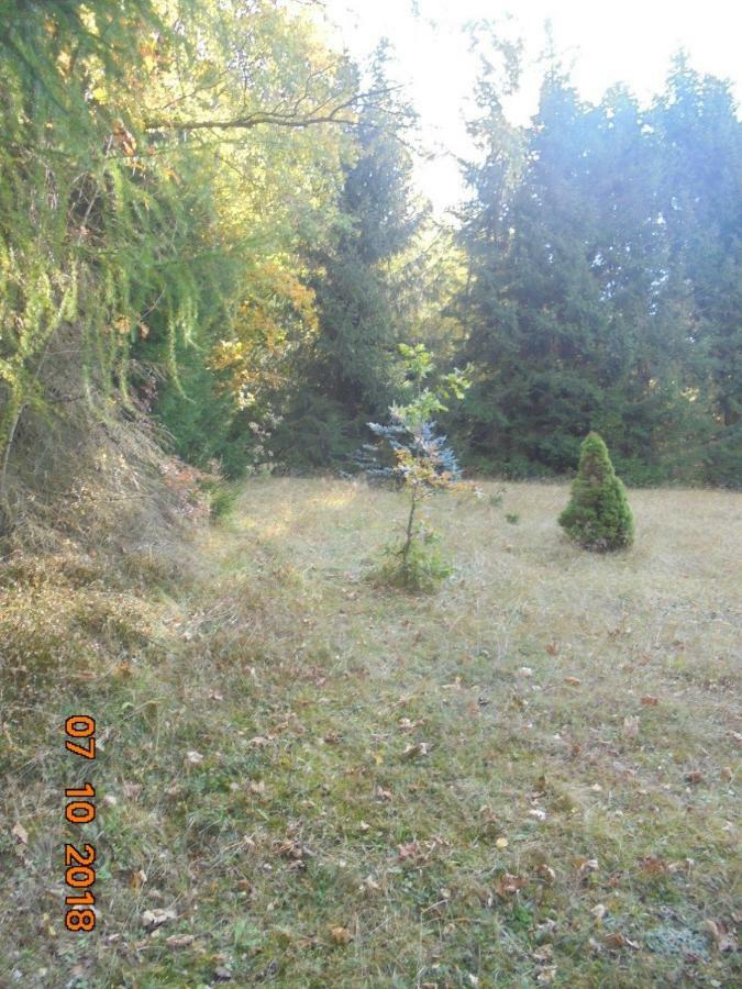 Wojtowka 16 Villa Ladek-Zdroj Luaran gambar